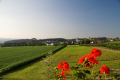 Unser kleines Dorf Gornhofen